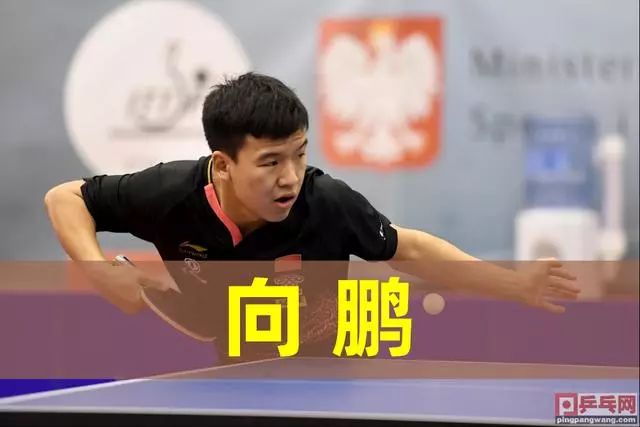 答案牌